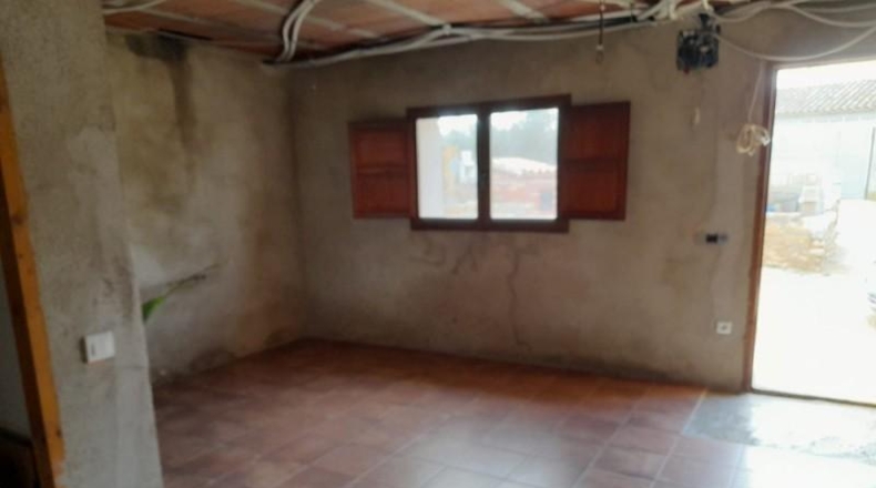 Tarragona - Tivissa - 82800m2