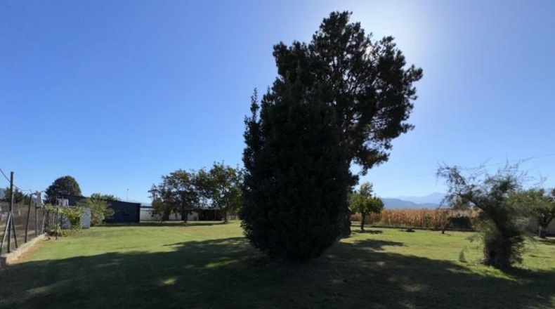 Leon - Ponferrada - 8000m2