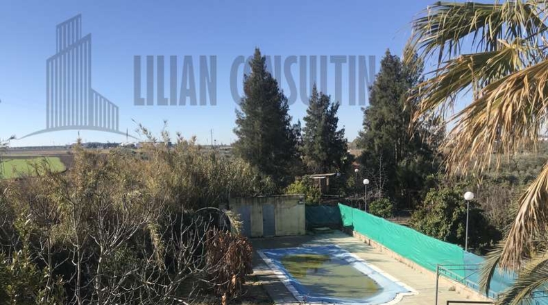 Huelva - Huelva - 9990m2