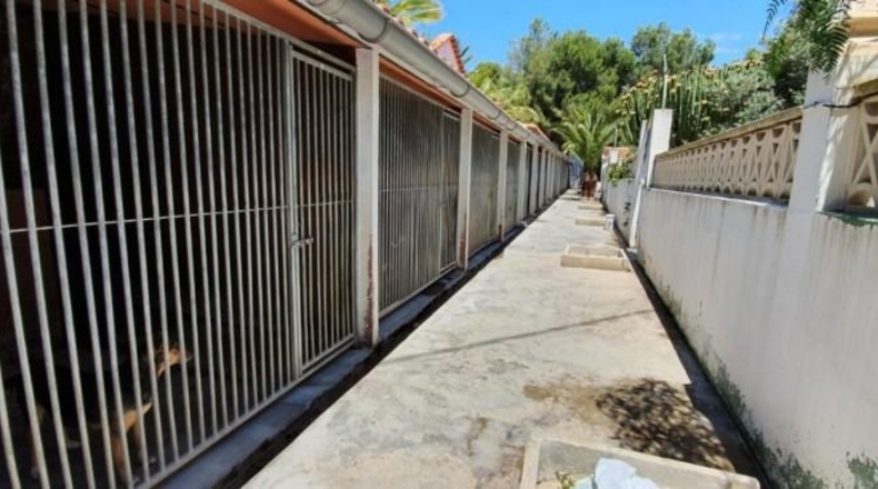 Alicante - Benidorm - 2000m2