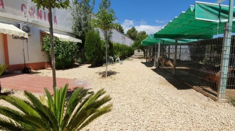 Alicante - Benidorm - 2000m2