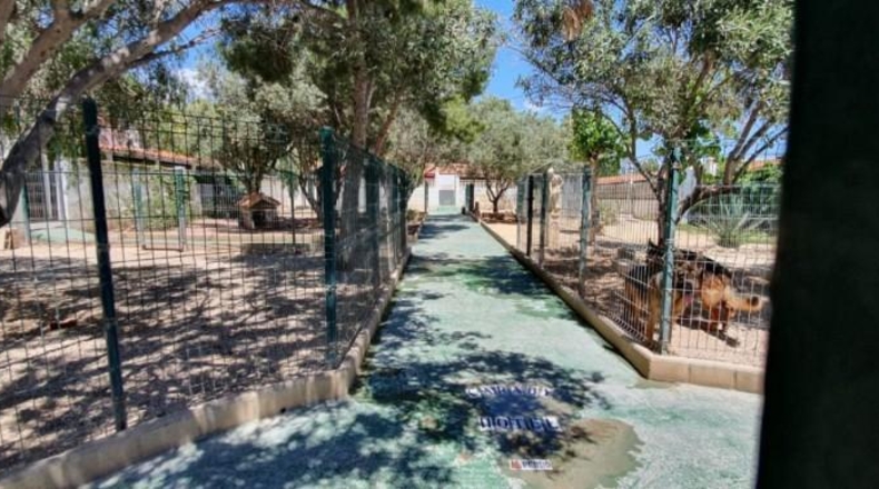 Alicante - Benidorm - 2000m2