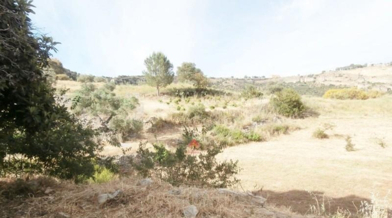 Málaga - Ronda - 90000m2