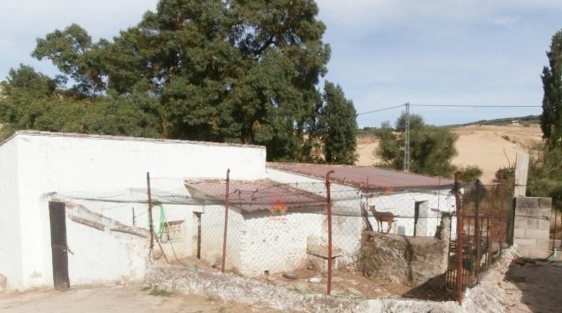 Málaga - Ronda - 90000m2
