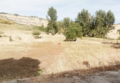 Загородный дом с участком на продажу в городе Ронда Фото