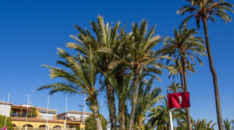 Alicante - Rojales - 223m2