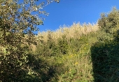 Sòl urbà en venda a la España, Pineda de Mar, ref.: TR119104 foto