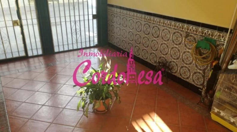 Córdoba - Córdoba - 200m2