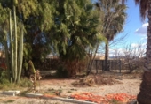 Xalet independent amb terreny en venda a la España, Lorca, ref.: TR141395 foto