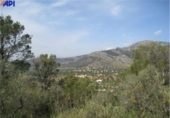 Non-developable land for sale on España, Bunyola, ref: TR135291 photo