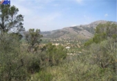 Non-developable land for sale on España, Bunyola, ref: TR135291 photo