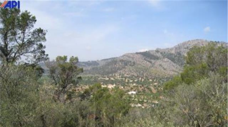 Islas Baleares - Bunyola - 160000m2