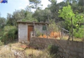 Non-developable land for sale on España, Bunyola, ref: TR135291 photo