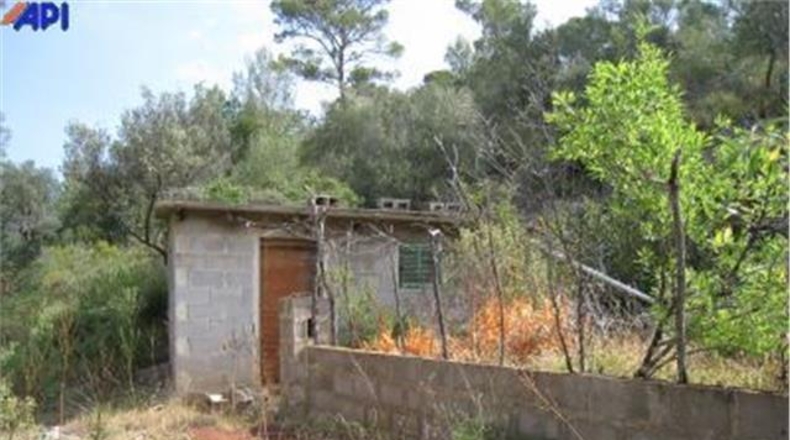 Islas Baleares - Bunyola - 160000m2