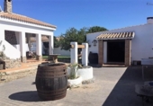 Xalet independent amb terreny en venda a la España, Chiclana de la Frontera, ref.: TR136172 foto