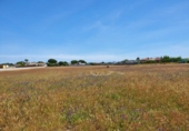 Terreny no urbanitzable en venda a la España, Chiclana de la Frontera, ref.: TR115937 foto