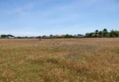 Terreny no urbanitzable en venda a la España, Chiclana de la Frontera, ref.: TR115937 foto