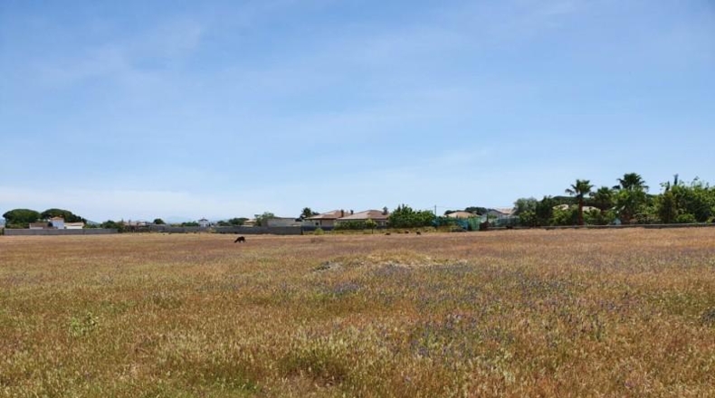 Cádiz - Chiclana de la Frontera - 14821m2