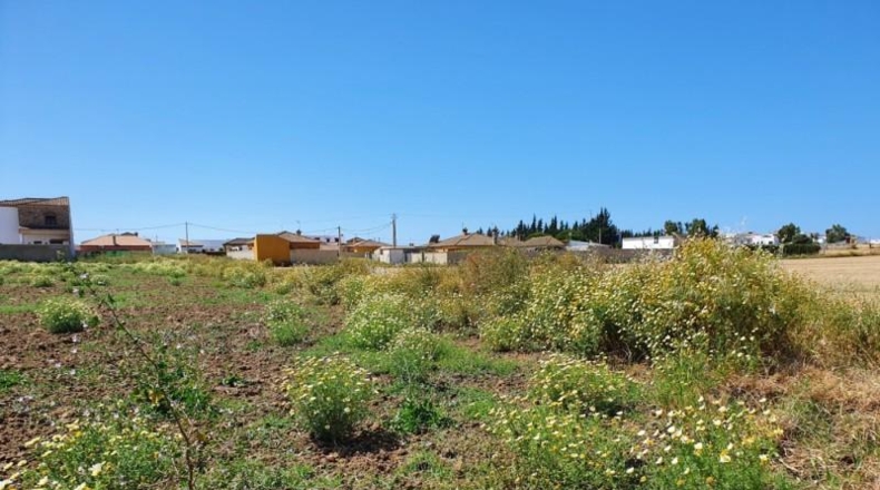 Cádiz - Chiclana de la Frontera - 6413m2