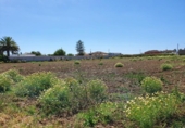 Parcel·la urbanitzable en venda a la España, Chiclana de la Frontera, ref.: TR115938 foto