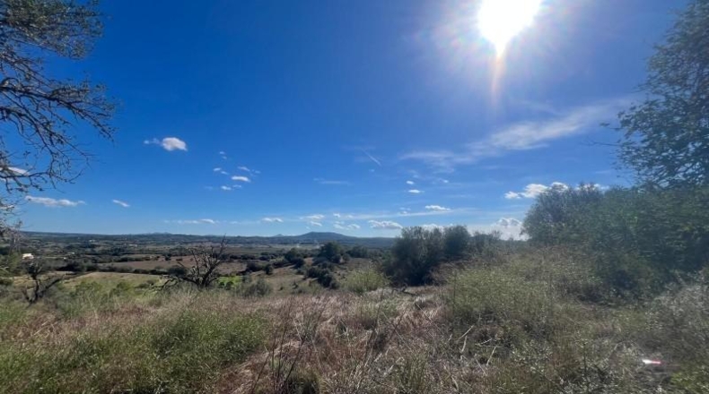 Balearic Islands - María de la Salud - 20000m2
