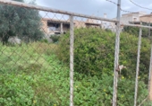 Urban land for sale on España, Porreras, ref: TR315325 photo