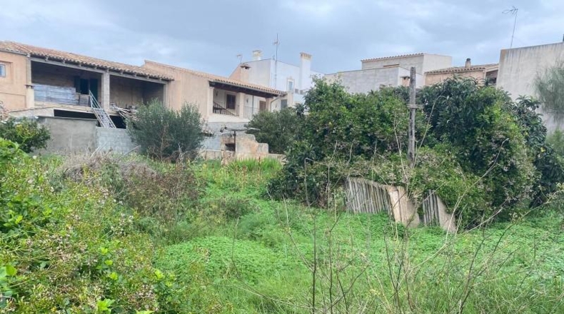 Balearic Islands - Porreres - 680m2