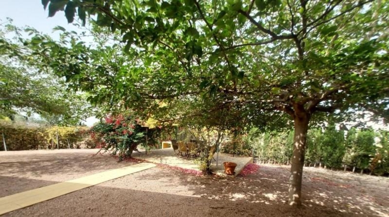 Alicante - Alicante - 2950m2