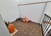 Village house for sale on España, Ronda, ref: TR227712 photo