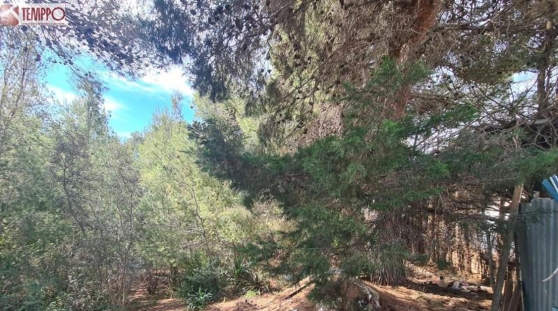 Tarragona - el Vendrell - 1691m2