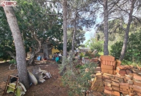 Foto 15