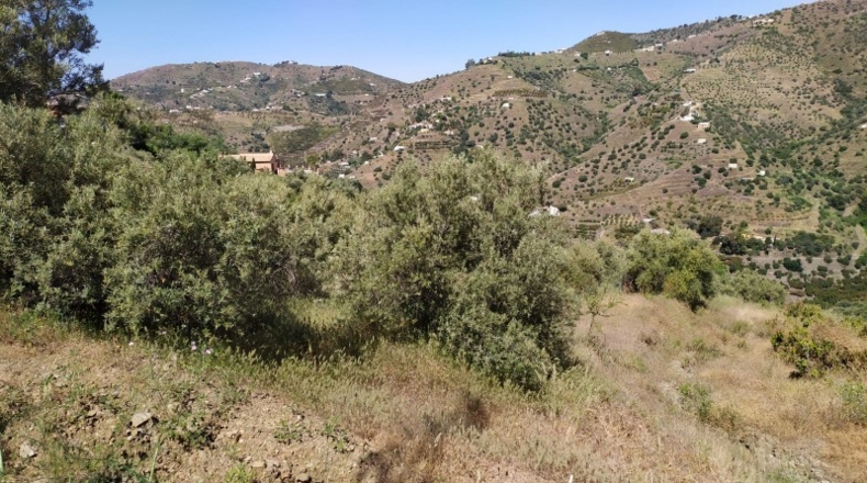 Málaga - Torrox - 11000m2