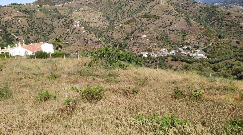 Málaga - Torrox - 11000m2