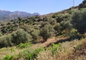 Casa de camp amb terreny en venda a la España, Torrox, ref.: TR244496 foto