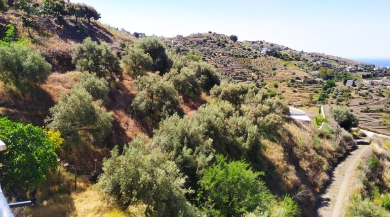 Málaga - Torrox - 11000m2