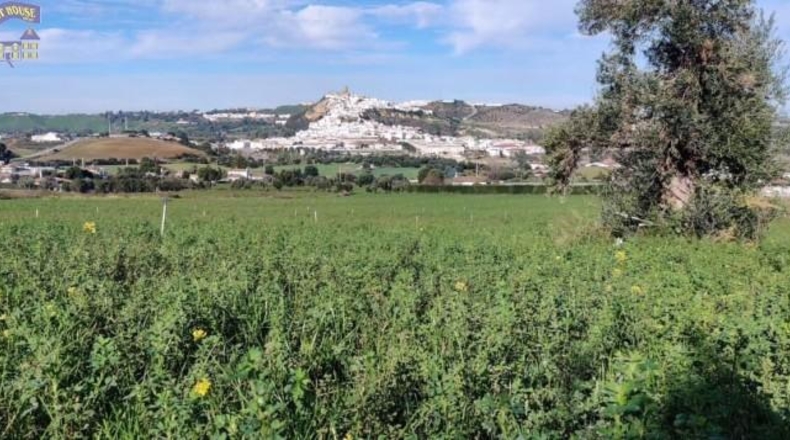 Cádiz - Arcos de la Frontera - 44500m2