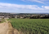 Xalet independent amb terreny en venda a la España, Arcos de la Frontera, ref.: TR331862 foto