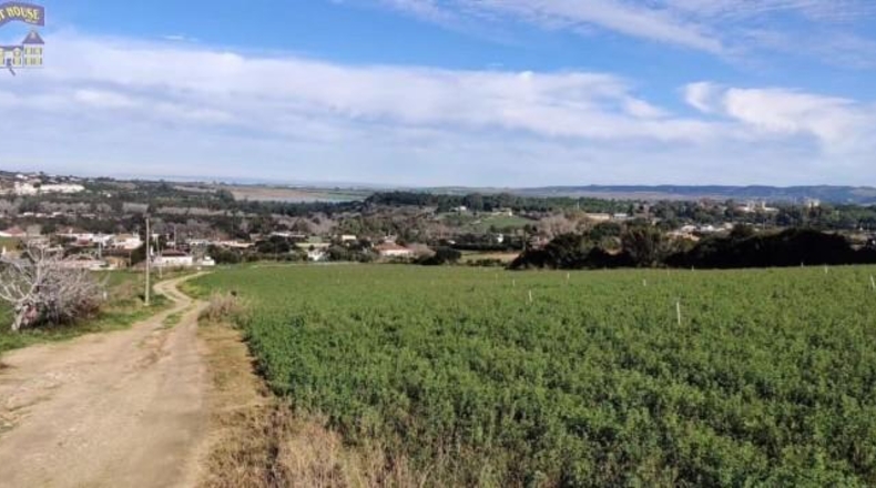 Cádiz - Arcos de la Frontera - 44500m2