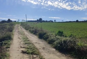 Foto 19