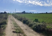 Xalet independent amb terreny en venda a la España, Arcos de la Frontera, ref.: TR331862 foto