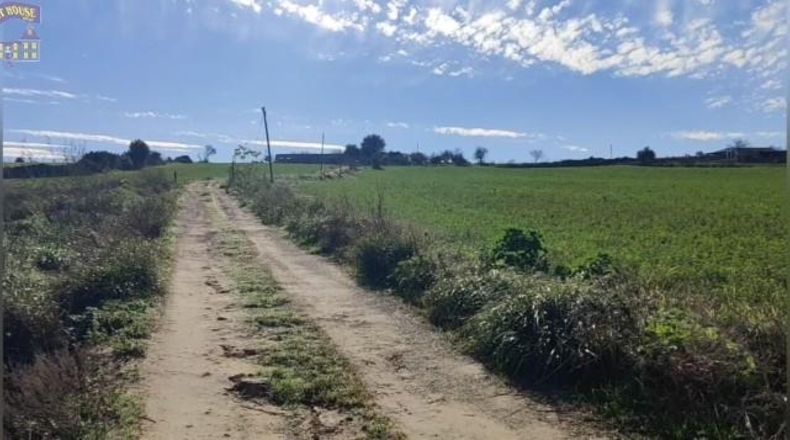 Cádiz - Arcos de la Frontera - 44500m2
