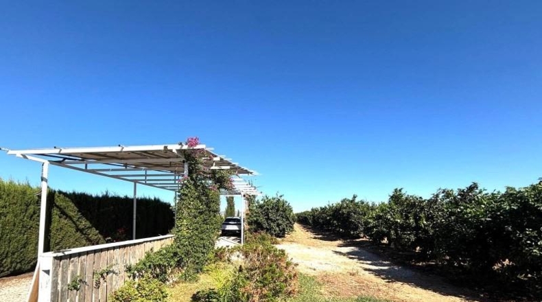 Севилья - Кантийяна - 30000m2