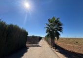 Xalet independent amb terreny en venda a la España, Cantillana, ref.: TR336186 foto