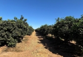 Xalet independent amb terreny en venda a la España, Cantillana, ref.: TR336186 foto