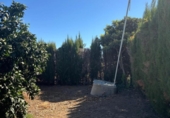 Xalet independent amb terreny en venda a la España, Cantillana, ref.: TR336186 foto