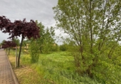 Suelo urbano en venta en la España, Medrano, ref: TR337395 foto
