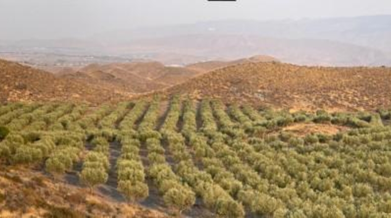 Almería - Табернас - 1799999m2