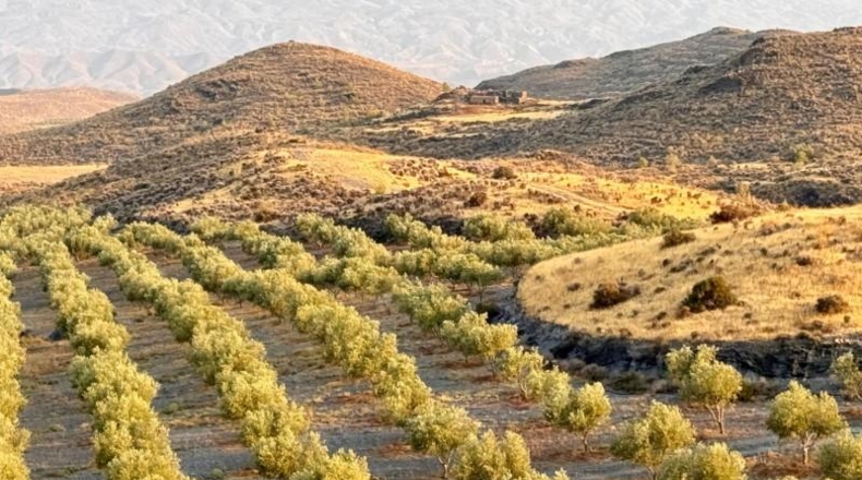 Almería - Табернас - 1799999m2