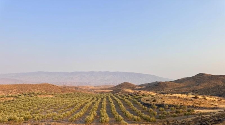 Almería - Табернас - 1799999m2