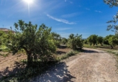 Chalet independiente con terreno en venta en la España, Murcia, ref: TR328789 foto